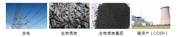 仟億達可提供氣化發(fā)電系統 成套設備的整體方案以及碳資產(chǎn)開(kāi)發(fā)服務(wù)